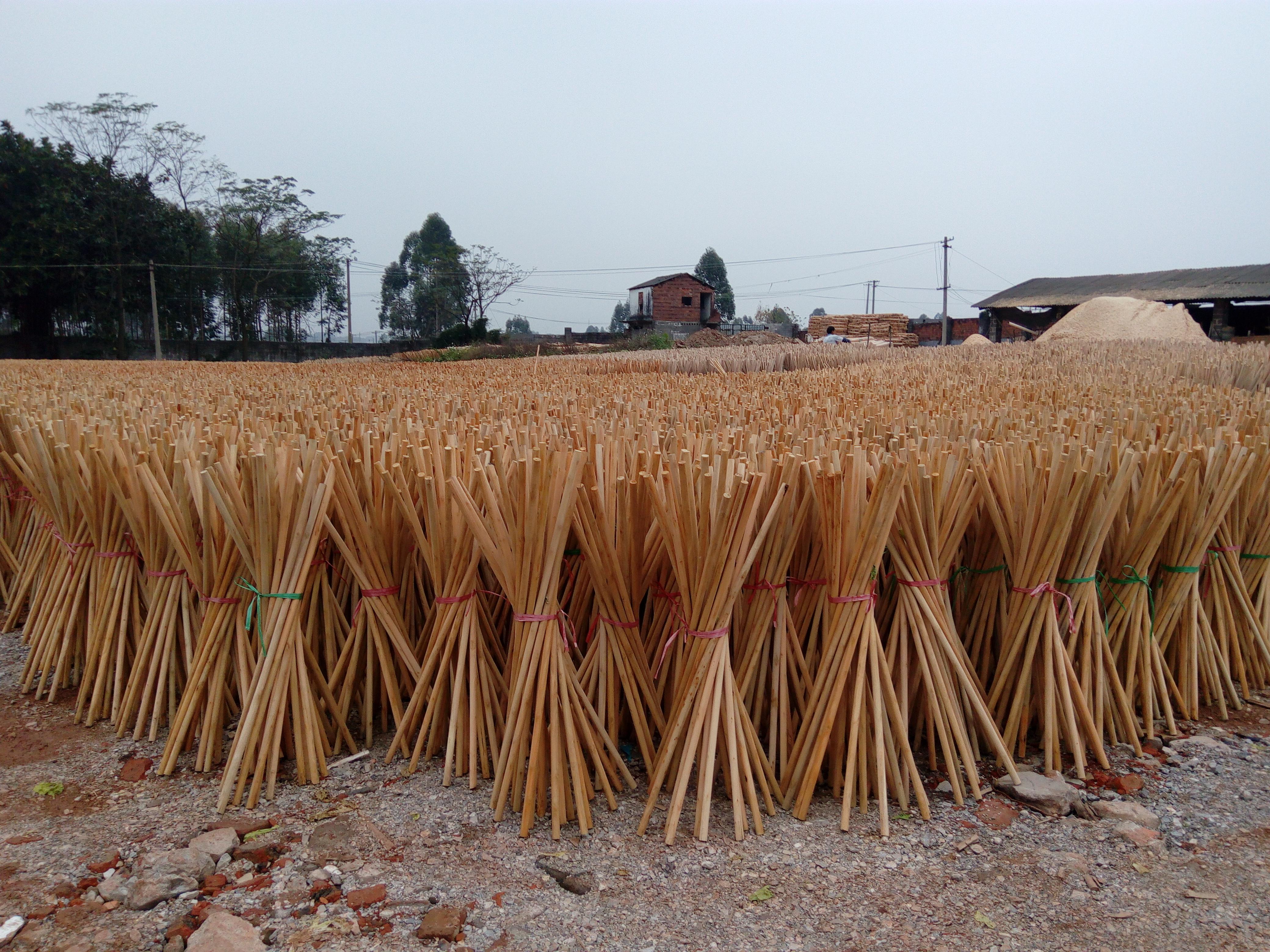 Premium Broom Handles: Direct from Factory, Ushering in a New Era of Efficient Cleaning