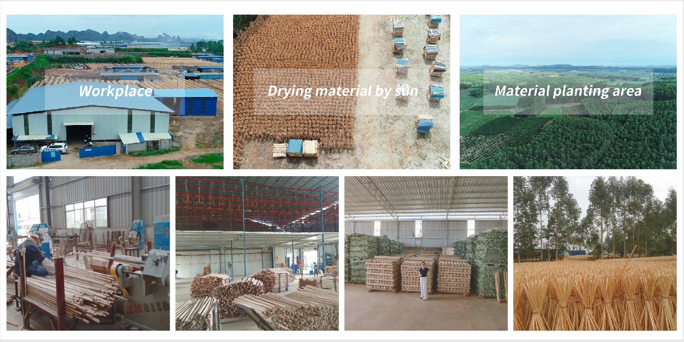 Discover the Source of Quality for Wooden Broom Handles: A Full - Process Display from Planting to Pr